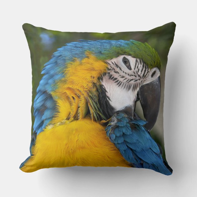 Coussin Perroquet Bleu Et Or (Recto)