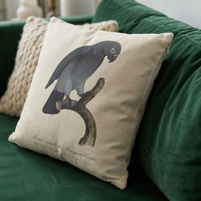 Coussin Perroquet Cendre / Perroquet gris Timneh   (Timneh African Grey Parrot, Psittacus Timneh. Throw Pillow)