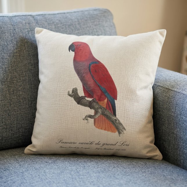 Coussin Perroquet éclectus de Vosmaer, Eclectus Roratus Vo (Vosmaer Eclectus Parrot, Eclectus Roratus Vosmaeri. Throw Pillow )