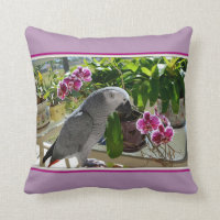 Perroquet gris africain aux orchidées