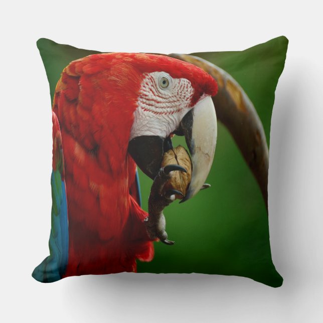 Coussin Perroquet rouge tropical (Recto)