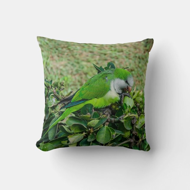 Coussin Perroquet vert (Recto)