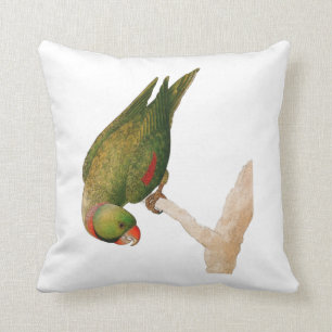 Coussin Perroquet vert rouge