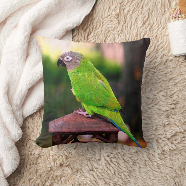 Coussin Perrot de purée à tête cendrée (Couverture)