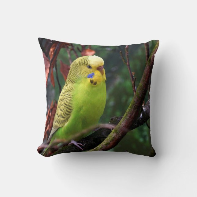 Coussin Perruche (Recto)