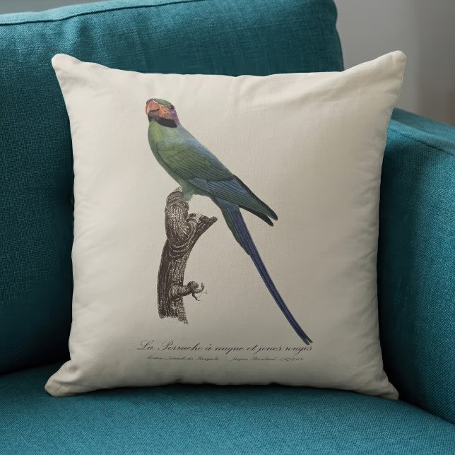 Coussin Perruche à longue queue, Psittacula Longicauda (Long-Tailed Parakeet, Psittacula Longicauda. Throw Pillow)