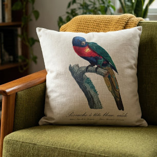 Coussin Perruche a tete bleue / Rainbow lorikeet