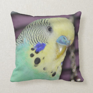 Coussin Perruche masculine de Budgie/