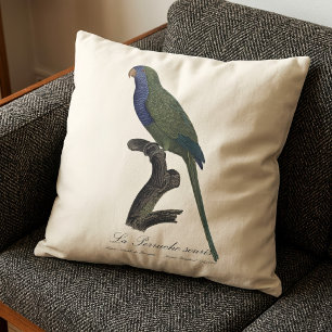 Coussin Perruche Moine, Myiopsitta Monachus