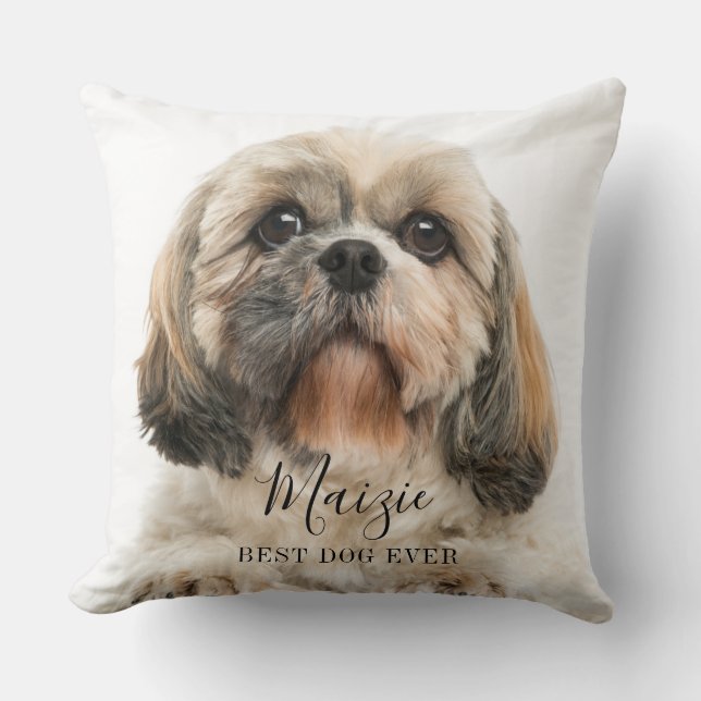 Coussin Personnalisé Chien Chien Chien Chien Chien Personn (Recto)