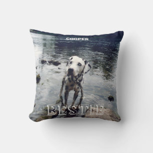 Coussin Personnalisé Coute Amis Animaux De Compagnie Photo