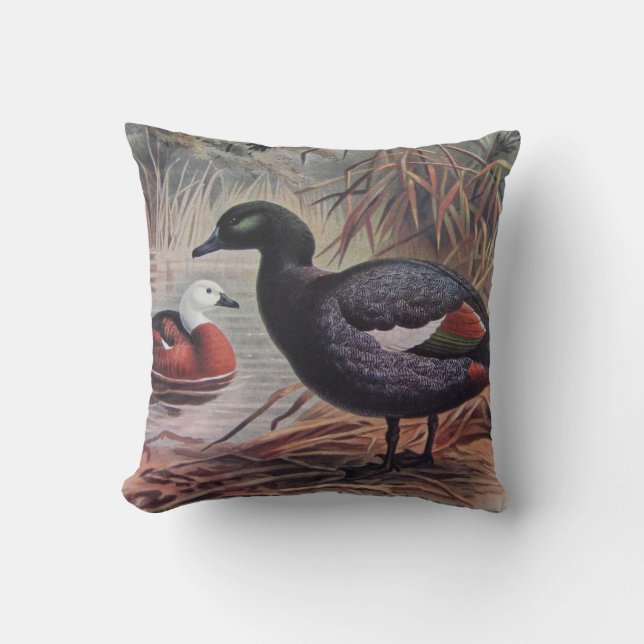 Coussin Personnaliser Vintage Paradise Shelduck (Recto)