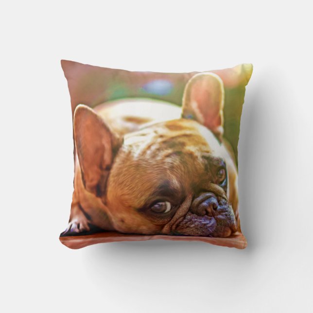 Coussin Personnalisez Votre Animal Photo Terra Cotta Monog (Recto)