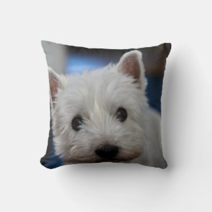 Coussin Pestie ultra mite Westie White Terrier