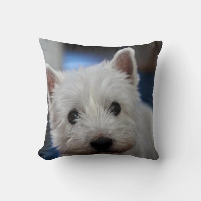Coussin Pestie ultra mite Westie White Terrier (Recto)