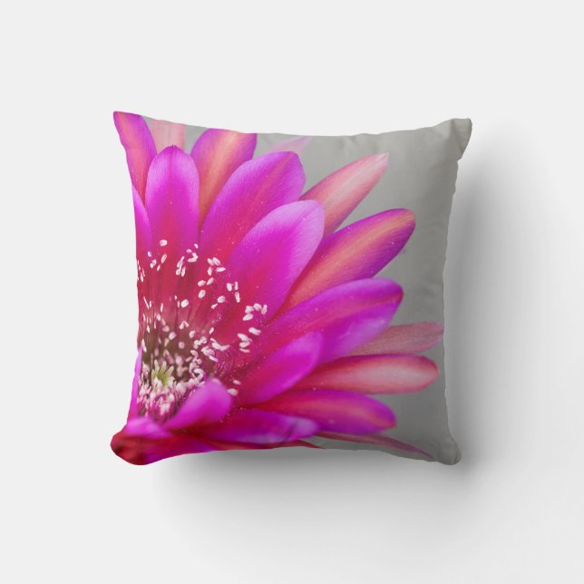 Coussin Pétales de fleurs de cactus roses vives (Recto)