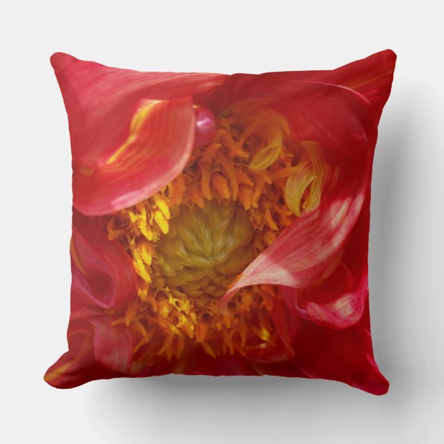 Coussin pétales rouges (Recto)