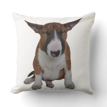 Petit carreau somnolent de bull-terrier