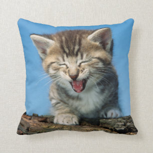 Coussin Petit chaton dans un arbre