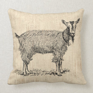 Coussin Petit chèvre avec Bell Illustration Script antiqu