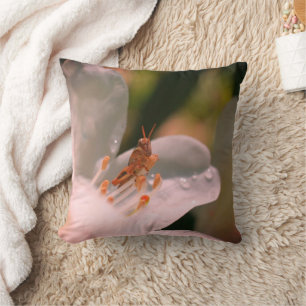 Coussin Petit Grasshopper Sur Fleur Azalée Blanche