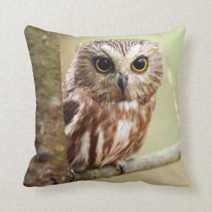 Coussin Petit hibou de bébé   Ontarios
