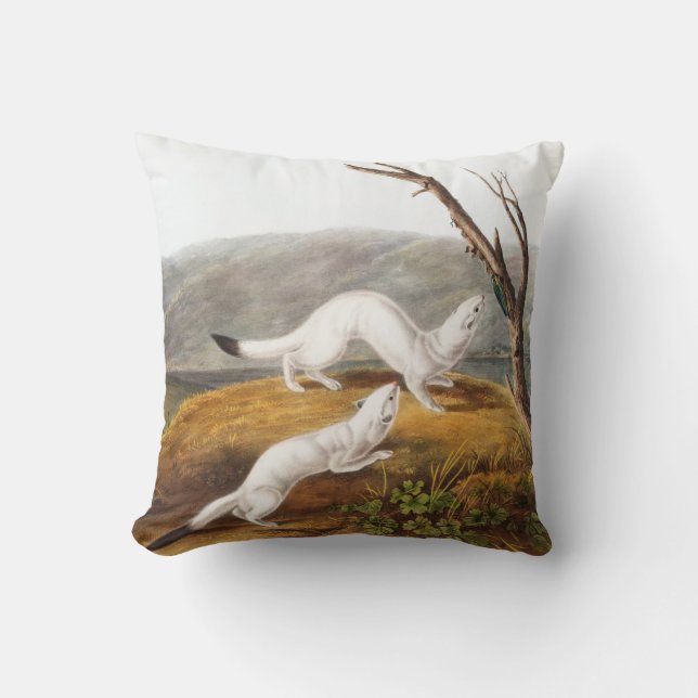 Coussin Petit Nimble Weasel Putorius agilis Illustration (Recto)