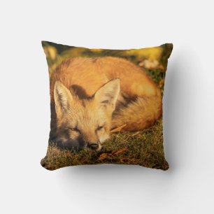 Coussin Petit renard endormi
