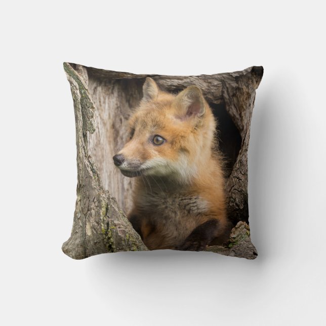 Coussin Petit Renard Rouge dans le Creux d'un Arbre (Recto)
