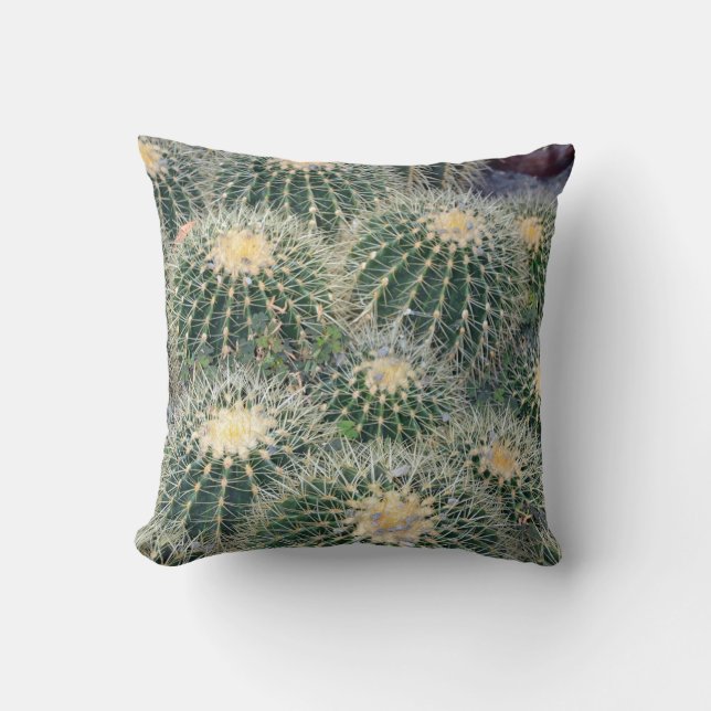 Coussin Peu de carreau épineux de cactus (Recto)