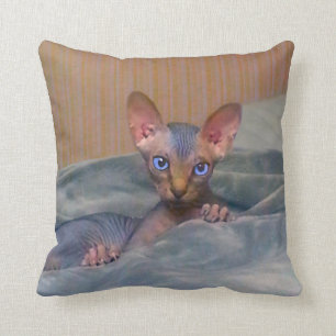 Coussin Peu de chaton gris de Sphynx