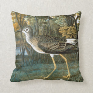 Coussin Peu de Yellowlegs