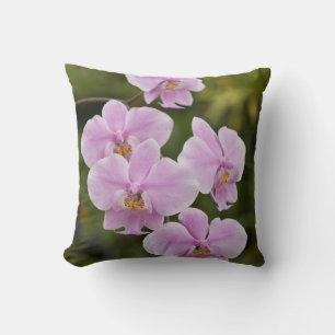 Coussin Phalaenopsis Schilleriana