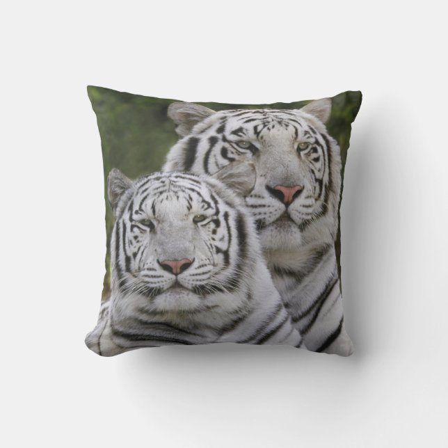 Coussin phase blanche, Tigre du Bengale, Tigris (Recto)