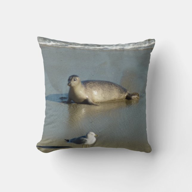 Coussin Phoque commun à La Jolla Californie (Recto)