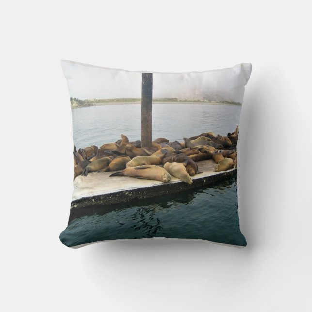 Coussin Phoques du port, Morro Bay, Californie (Recto)