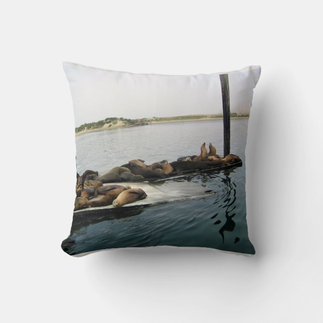 Coussin Phoques du port, Morro Bay, Californie (Recto)