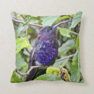 Coussin Photo bleue de colibri