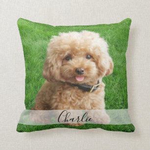 coussin photo complet personnalisé pour animaux d