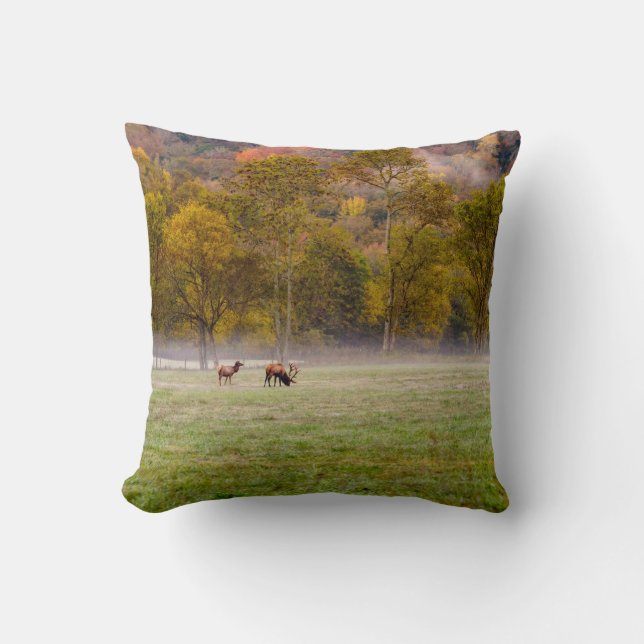 Coussin photo Couple Elk (Recto)