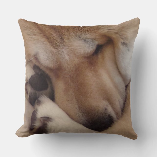 Coussin photo de caresse endormie d'original de pattes de (Recto)