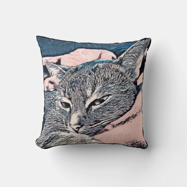 Coussin Photo de chat, chat, Animaux domestiques, chat drô (Recto)