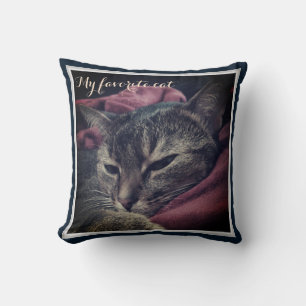 Coussin Photo de chat, chat, Animaux domestiques, drôle de