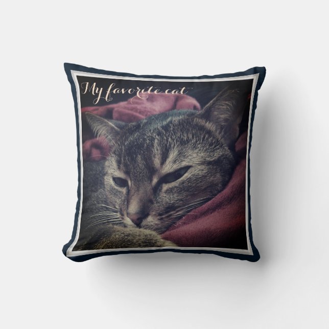 Coussin Photo de chat, chat, Animaux domestiques, drôle de (Recto)