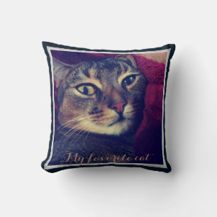 Coussin Photo de chat, chat, Animaux domestiques, drôle de
