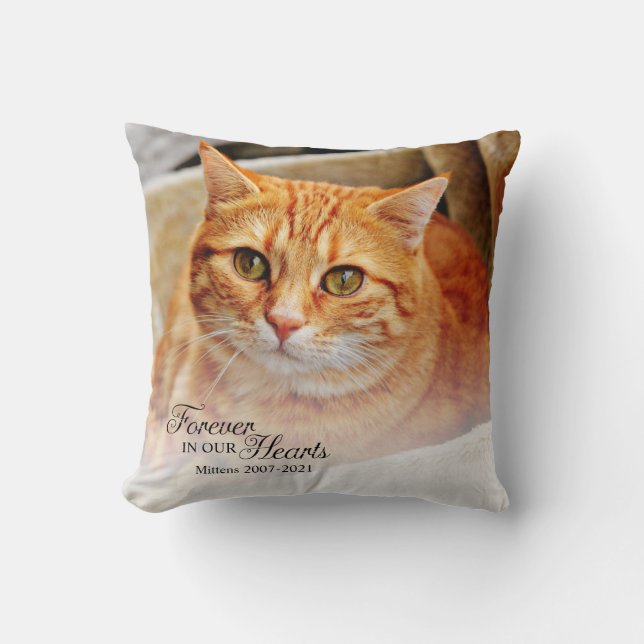 Coussin Photo de chat commémorative à jamais dans nos cœur (Recto)