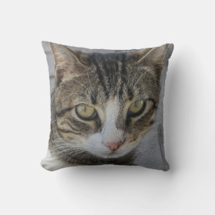 Coussin Photo de chat de tigre gris, Amour du magnifique c