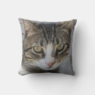 Coussin Photo de chat de tigre gris, Amour du magnifique c