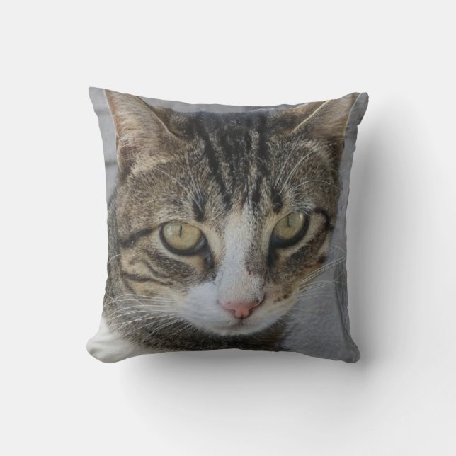 Coussin Photo de chat de tigre gris, Amour du magnifique c (Recto)