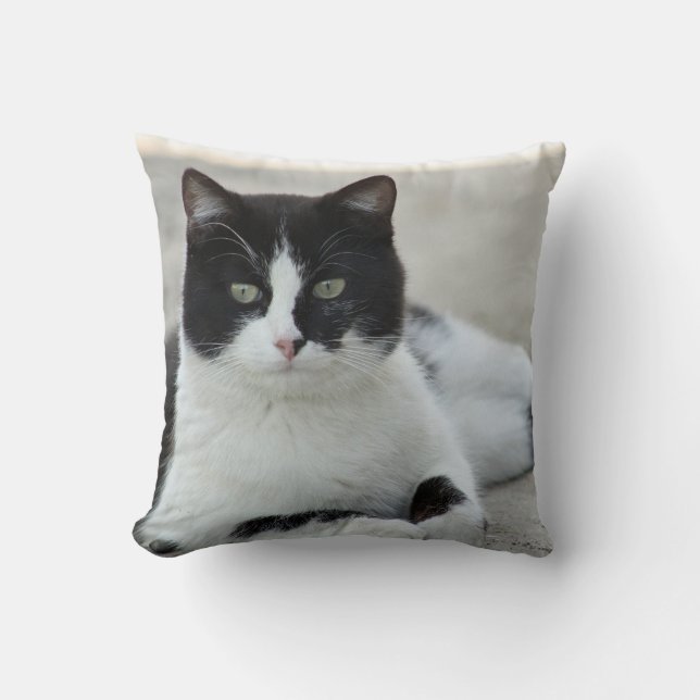 Coussin Photo de chat noir et blanc Tuxedo (Recto)
